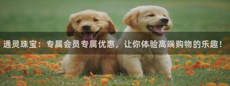 新宝5 - 测速登陆：通灵珠宝：专属会员专属优惠，让你体验高端购物的乐趣！