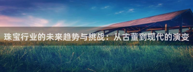 新宝堂新会陈皮5年：珠宝行业的未来趋势与挑战：从古董到现代的演变