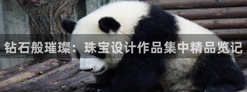 新宝5测速登陆：钻石般璀璨：珠宝设计作品集中精品览记
