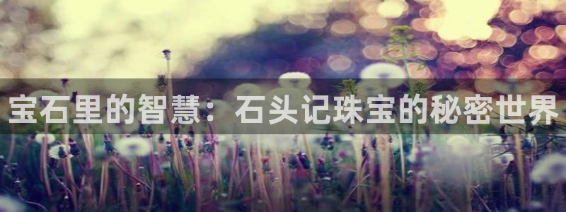新宝5平台：宝石里的智慧：石头记珠宝的秘密世界