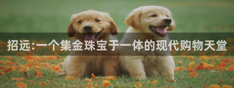 新宝5后：招远:一个集金珠宝于一体的现代购物天堂