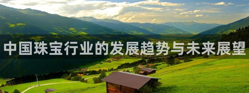 新宝5娱乐平台：中国珠宝行业的发展趋势与未来展望