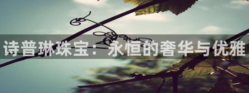 新宝5主管：诗普琳珠宝：永恒的奢华与优雅