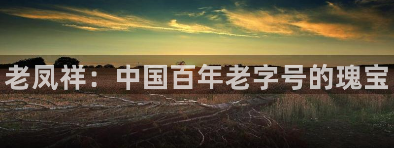 新宝_5：老凤祥：中国百年老字号的瑰宝