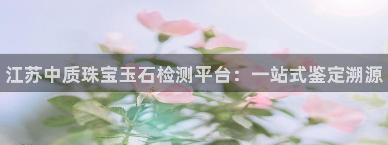 新宝5手机下载：江苏中质珠宝玉石检测平台：一站式鉴定溯源