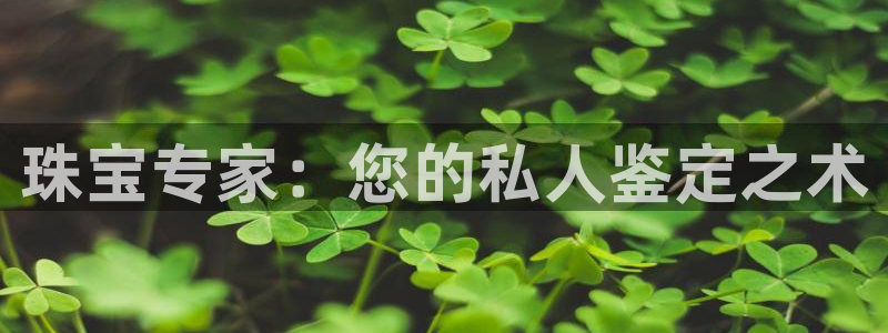 新宝5登录不了：珠宝专家：您的私人鉴定之术