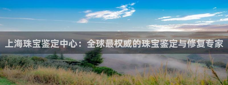 新宝5测速平台登录：上海珠宝鉴定中心：全球最权威的珠宝鉴定与修复专家