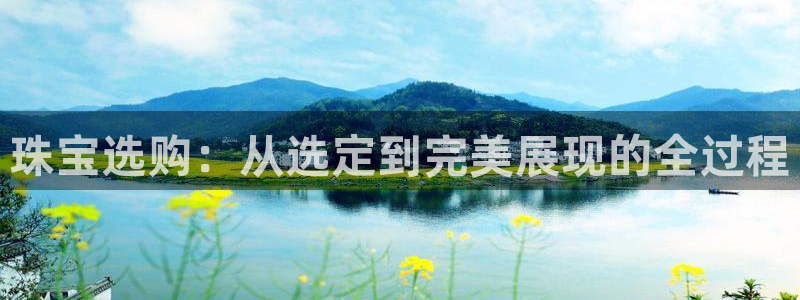 p5r新宝魔：珠宝选购：从选定到完美展现的全过程