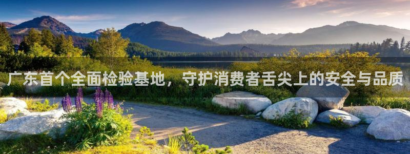 新宝5玩法：广东首个全面检验基地，守护消费者舌尖上的安全与品质