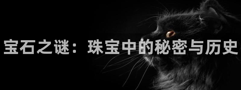 新宝5登录：宝石之谜：珠宝中的秘密与历史