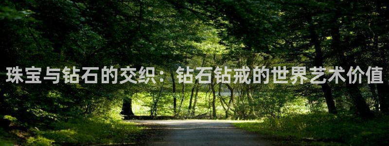 新宝5黑彩：珠宝与钻石的交织：钻石钻戒的世界艺术价值