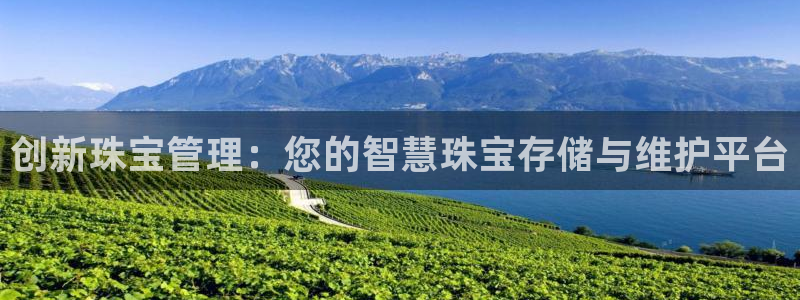 新宝5系列：创新珠宝管理：您的智慧珠宝存储与维护平台