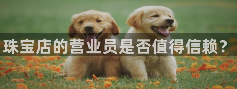 新5宝：珠宝店的营业员是否值得信赖？