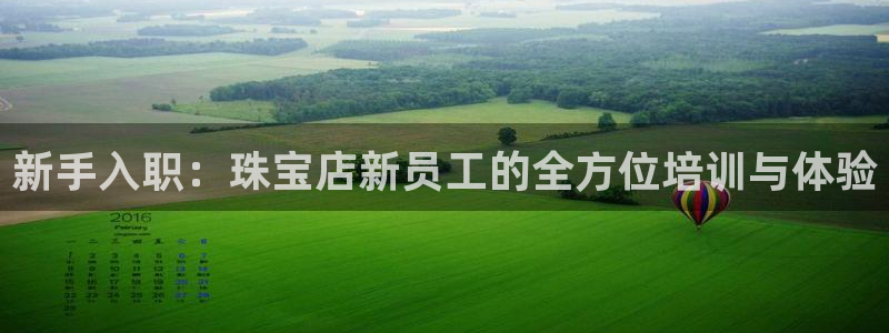 新宝5上70 667：新手入职：珠宝店新员工的全方位培训与体验