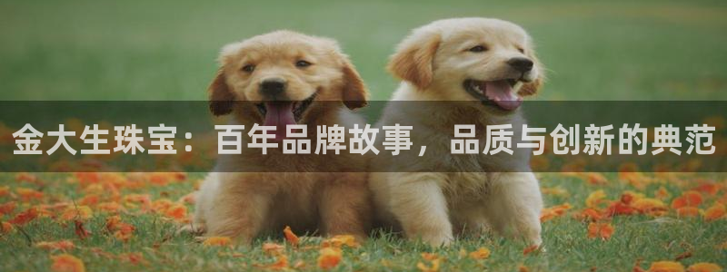 新宝5在哪里：金大生珠宝：百年品牌故事，品质与创新的典范