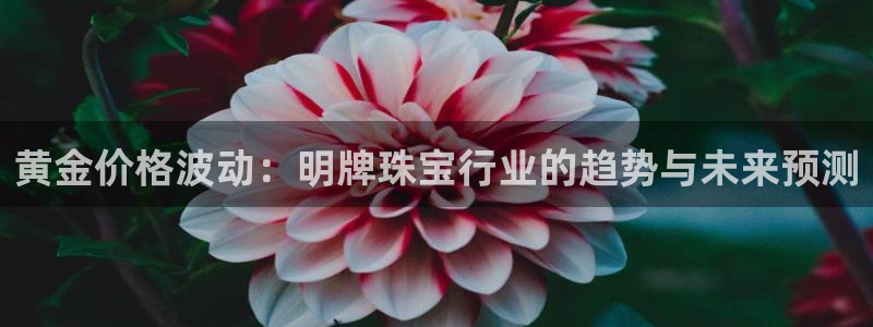 新宝5球维33 300：黄金价格波动：明牌珠宝行业的趋势与未来预测