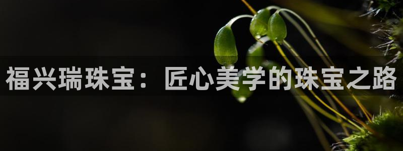 新宝5湫333 00：福兴瑞珠宝：匠心美学的珠宝之路