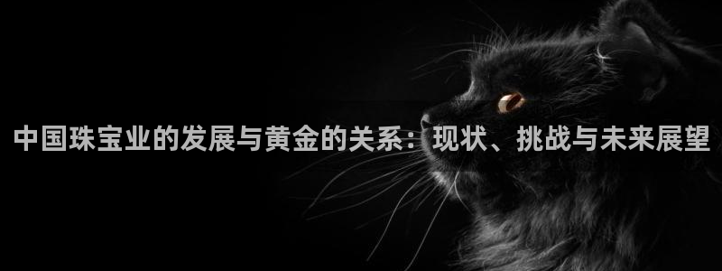 新宝5注册首页：中国珠宝业的发展与黄金的关系：现状、挑战与未来展望