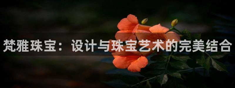 新宝5直属：梵雅珠宝：设计与珠宝艺术的完美结合