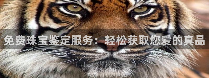 新宝5官方：免费珠宝鉴定服务：轻松获取您爱的真品