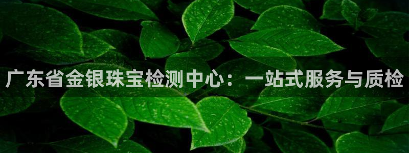 股票5G宝新：广东省金银珠宝检测中心：一站式服务与质检