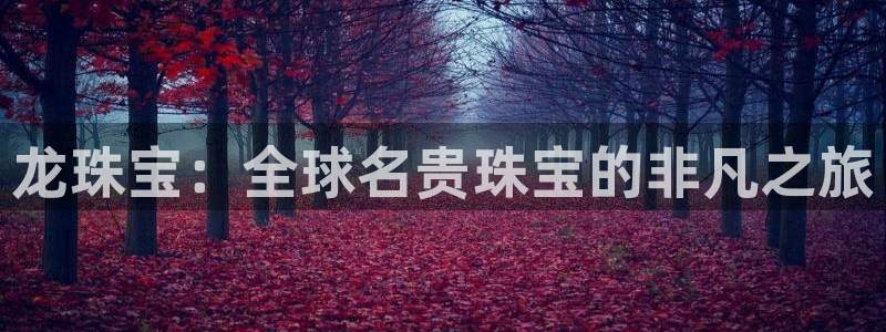 新宝5：龙珠宝：全球名贵珠宝的非凡之旅