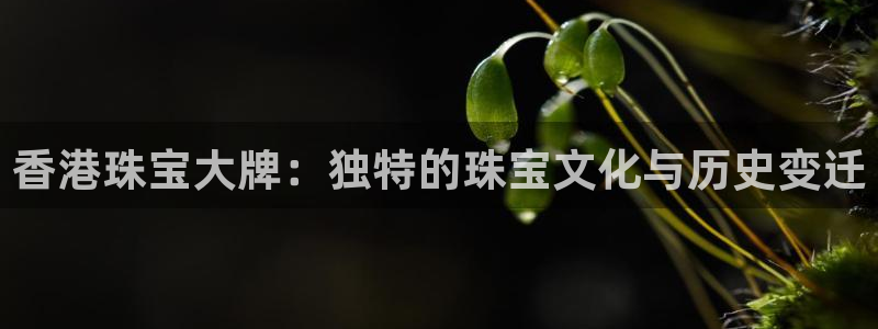 新宝5测速：香港珠宝大牌：独特的珠宝文化与历史变迁