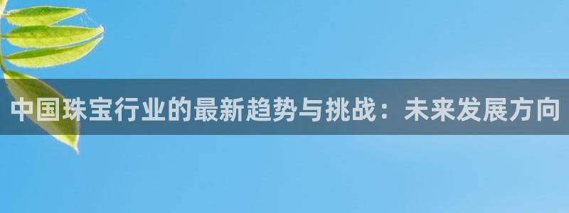 新宝5网站：中国珠宝行业的最新趋势与挑战：未来发展方向
