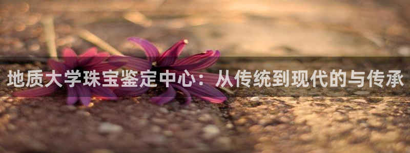 新宝5登录入口网址：地质大学珠宝鉴定中心：从传统到现代的与传承