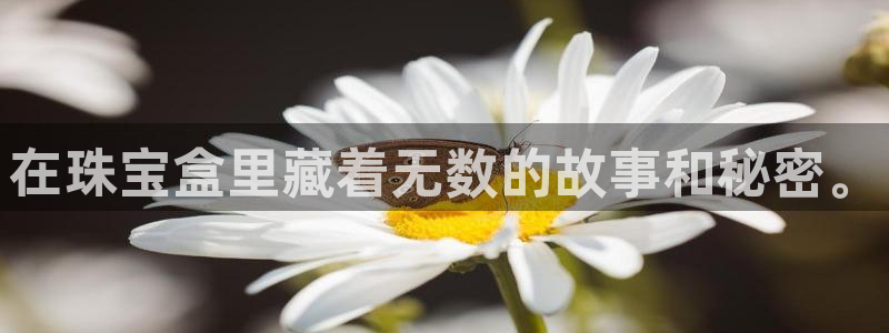 新宝5-测速：在珠宝盒里藏着无数的故事和秘密。
