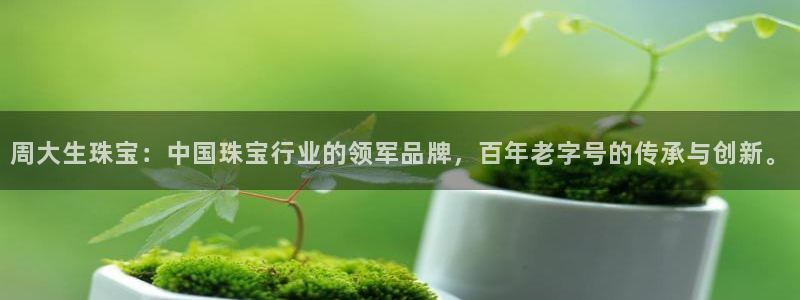 新宝 5测速：周大生珠宝：中国珠宝行业的领军品牌，百年老字号的传承与创新。
