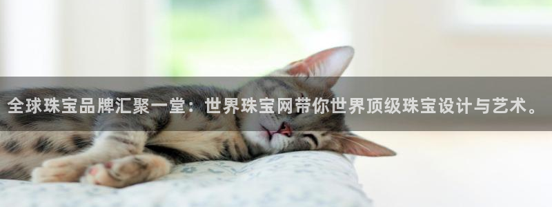 新宝5挂机软件：全球珠宝品牌汇聚一堂：世界珠宝网带你世界顶级珠宝设计与艺术。