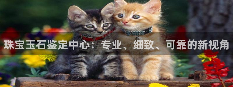 新宝5现在还能玩吗：珠宝玉石鉴定中心：专业、细致、可靠的新视角
