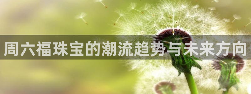 新宝股东王听2 5 5：周六福珠宝的潮流趋势与未来方向