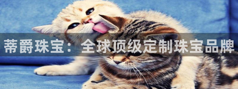 新宝5官网：蒂爵珠宝：全球顶级定制珠宝品牌
