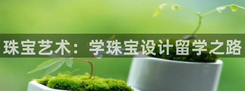 新宝5 唯一：珠宝艺术：学珠宝设计留学之路
