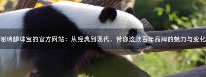 新宝5周74OOO5：谢瑞麟珠宝的官方网站：从经典到现代，带你这款百年品牌的魅力