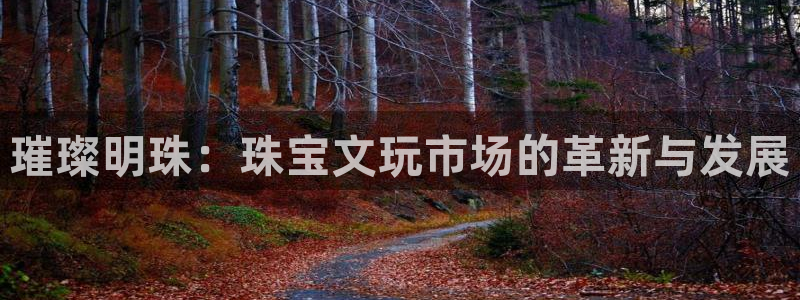 新宝5网址：璀璨明珠：珠宝文玩市场的革新与发展