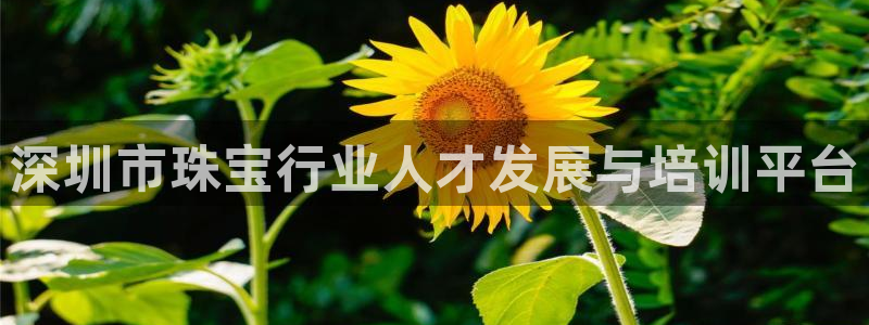 新宝5台卡：深圳市珠宝行业人才发展与培训平台