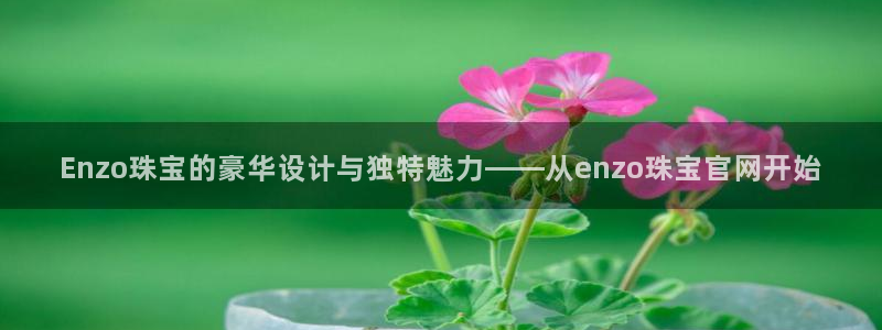 新宝5平台注册：Enzo珠宝的豪华设计与独特魅力——从enzo珠宝官网开始