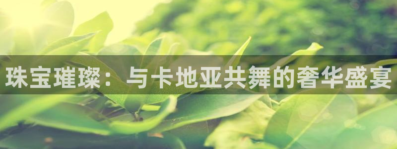 新宝堂新会陈皮5年：珠宝璀璨：与卡地亚共舞的奢华盛宴