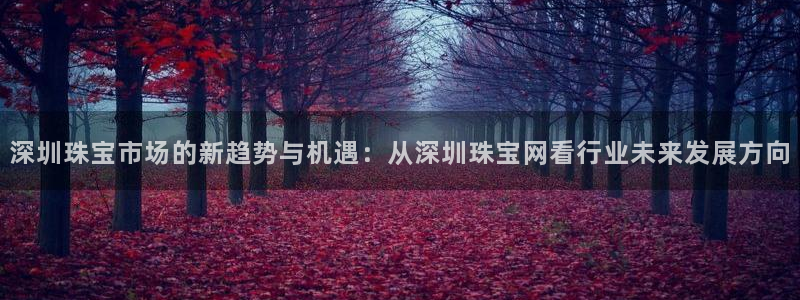 新宝5寂创33300散：深圳珠宝市场的新趋势与机遇：从深圳珠宝网看行业未来发展方