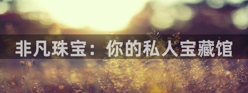 新宝5电脑：非凡珠宝：你的私人宝藏馆