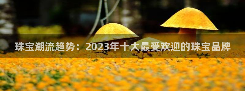 新宝5黑：珠宝潮流趋势：2023年十大最受欢迎的珠宝品牌