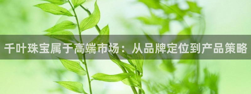 新宝5下载 迅雷下载：千叶珠宝属于高端市场：从品牌定位到产品策略