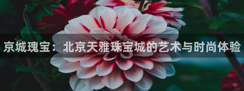 新宝5授权：京城瑰宝：北京天雅珠宝城的艺术与时尚体验