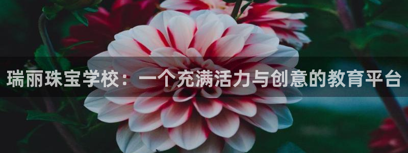 新宝5平台注册：瑞丽珠宝学校：一个充满活力与创意的教育平台